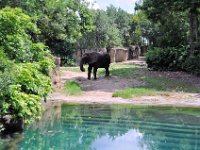 2015067583 Disneys Animal Kingdom - Orlando FL - Jun 09