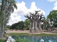 2015067587 Disneys Animal Kingdom - Orlando FL - Jun 09