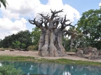 2015067588 Disneys Animal Kingdom - Orlando FL - Jun 09