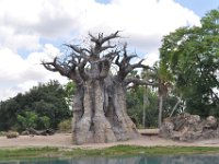 2015067589 Disneys Animal Kingdom - Orlando FL - Jun 09