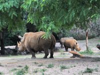 2015067609 Disneys Animal Kingdom - Orlando FL - Jun 09