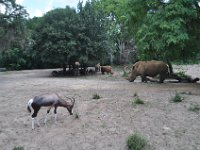 2015067615 Disneys Animal Kingdom - Orlando FL - Jun 09