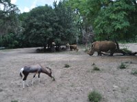 2015067616 Disneys Animal Kingdom - Orlando FL - Jun 09