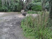 2015067622 Disneys Animal Kingdom - Orlando FL - Jun 09