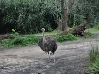 2015067625 Disneys Animal Kingdom - Orlando FL - Jun 09