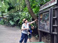 2015067665 Disneys Animal Kingdom - Orlando FL - Jun 09