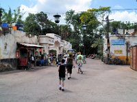 2015067667 Disneys Animal Kingdom - Orlando FL - Jun 09