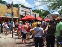 2015067672 Disneys Animal Kingdom - Orlando FL - Jun 09