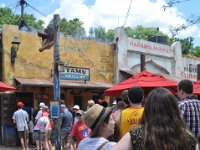 2015067674 Disneys Animal Kingdom - Orlando FL - Jun 09