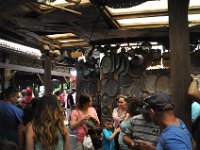 2015067678 Disneys Animal Kingdom - Orlando FL - Jun 09