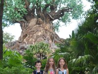 2015067688 Disneys Animal Kingdom - Orlando FL - Jun 09