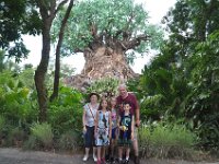 2015067692 Disneys Animal Kingdom - Orlando FL - Jun 09