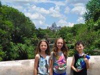 2015067697 Disneys Animal Kingdom - Orlando FL - Jun 09