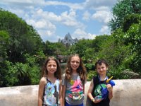 2015067698 Disneys Animal Kingdom - Orlando FL - Jun 09