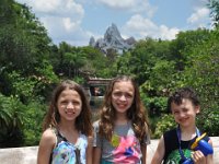 2015067699 Disneys Animal Kingdom - Orlando FL - Jun 09