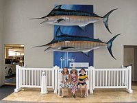 2015068318 Guy Harvey Outpost Resort (Sandpiper) - St. Pete Beach FL - Jun 10-12