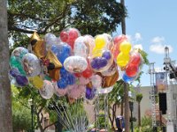 2015067421 Disneys Hollywood Studios - Orlando FL - Jun 08