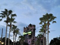 2015067475 Disneys Hollywood Studios - Orlando FL - Jun 08