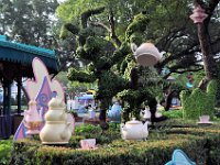 2015067024 Magic Kingdom - Orlando FL - Jun 06