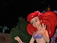 2015067056 Magic Kingdom - Orlando FL - Jun 06