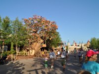 2015068947 Magic Kingdom - Orlando FL - Jun 15