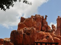 2015069009 Magic Kingdom - Orlando FL - Jun 15