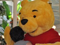 2015069046 Magic Kingdom - Orlando FL - Jun 15