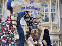 2015067718 Magic Kingdom  - Orlando FL - Jun 09