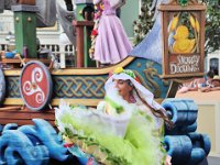 2015067745 Magic Kingdom  - Orlando FL - Jun 09