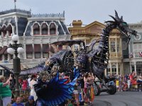 2015067802 Magic Kingdom  - Orlando FL - Jun 09