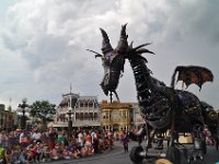 2015067812 Magic Kingdom  - Orlando FL - Jun 09