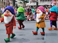 2015067829 Magic Kingdom  - Orlando FL - Jun 09