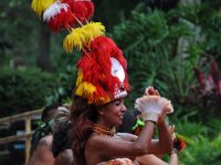 2015067220 Poylnesian Village Dinner Show - Orlando FL - Jun 06