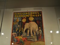 2015068426 Ringling Museum  - Sarasota FL - Jun 12