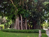 2015068551 Ringling Museum  - Sarasota FL - Jun 12