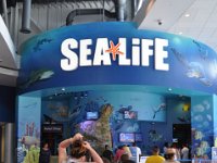 2015067973 Sea-Life  - Orlando FL - Jun 10