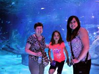 2015067993 Sea-Life  - Orlando FL - Jun 10