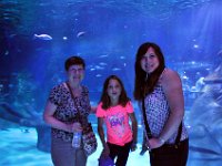 2015067994 Sea-Life  - Orlando FL - Jun 10