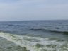 2016061950 Margaretaville - Pensacola Beach, FL  (June 15- 16) - Copy