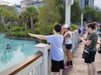 2018071070 Disney Springs-Orlando-Jul 02