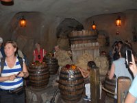 2018071943 Disneys Magic Kngdom-Orlando-Jul 06