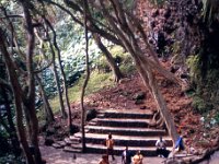 1977042082 Fern Grotto, Kauai, Hawaii