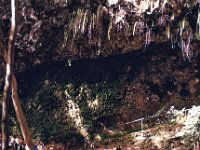 1977042084 Fern Grotto, Kauai, Hawaii