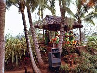 1977042168 Polynesian Cultural Center, Oahu, Hawaii