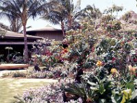 1977042172 Polynesian Cultural Center, Oahu, Hawaii