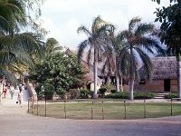 1977042180 Polynesian Cultural Center, Oahu, Hawaii