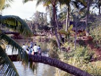 1977042183 Polynesian Cultural Center, Oahu, Hawaii