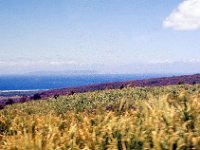 Spouting Horn, Kauai, Hawaii (April 1977)