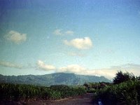 1977042102 Wailua River, Kauai, Hawaii