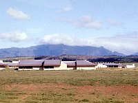 1977042104 Wailua River, Kauai, Hawaii